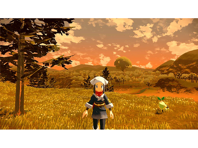 Image du produit 10