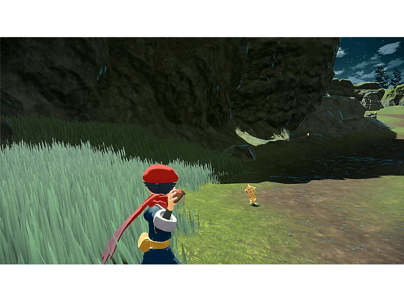 Image du produit 8